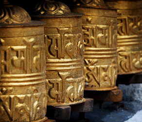 Similar image 8231803