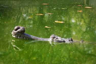 Similar image 8231822