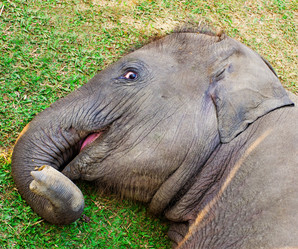 Similar image 8231854