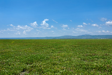 Similar image 8231856