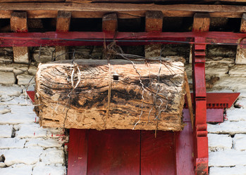 Similar image 8231866