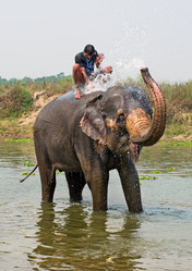 Similar image 8231876