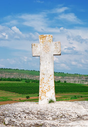 Similar image 8231926