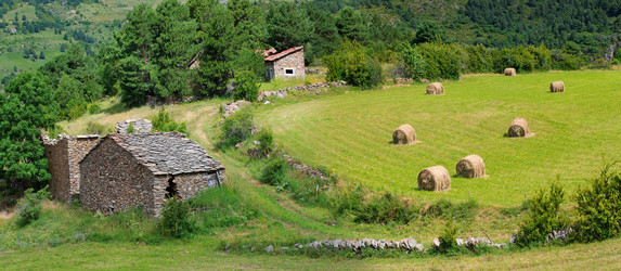 Similar image 8231937