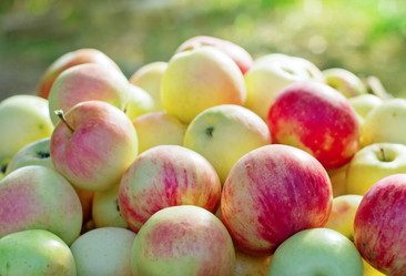 Similar image 8231939