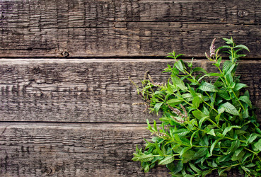 Similar image 8231941