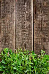 Similar image 8231944