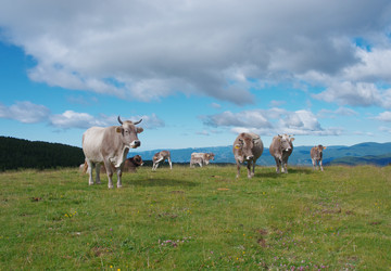 Similar image 8231946