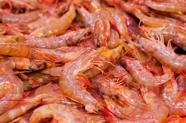 Similar image 8231948