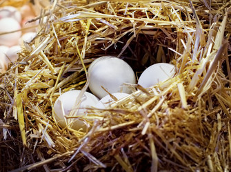 Similar image 8231949