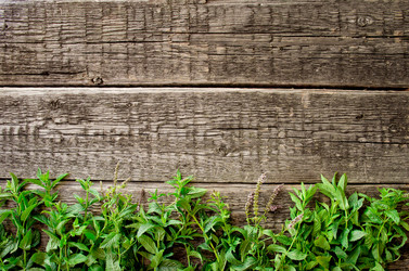 Similar image 8231967