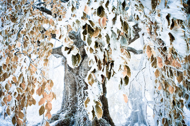 Similar image 8231977