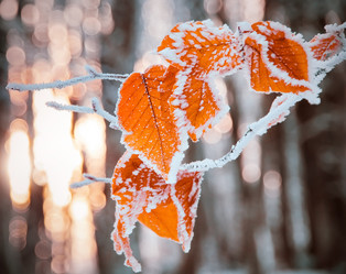 Similar image 8231978