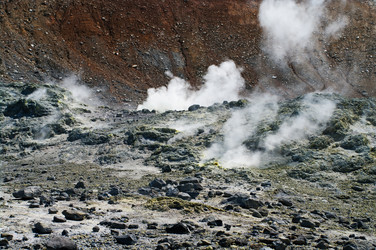 Similar image 8231988