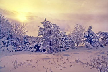 Similar image 8232036