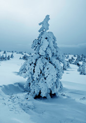 Similar image 8232043