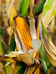 Similar image 8232085