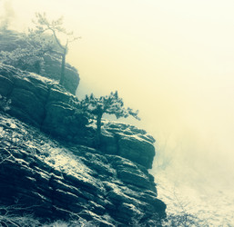 Similar image 8232101