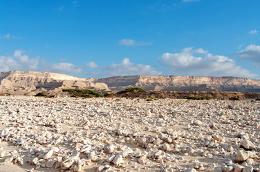 Similar image 8232103