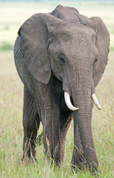 Similar image 8232120