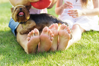 Similar image 8232156