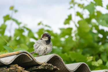 Similar image 8232179