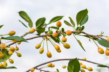 Similar image 8232180