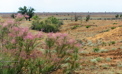 Similar image 8232183