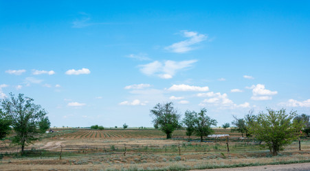 Similar image 8232201