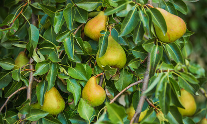 Similar image 8267567