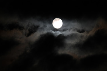 Similar image 8267642