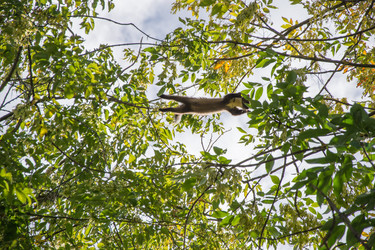 Similar image 8267692