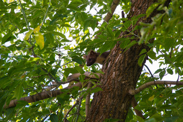 Similar image 8267693