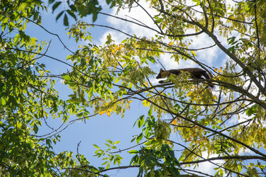 Similar image 8267694