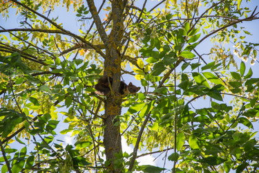 Similar image 8267695