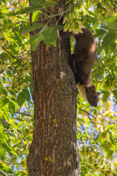 Similar image 8267697