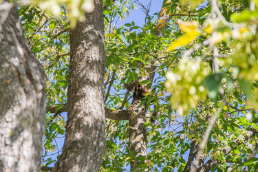 Similar image 8267699