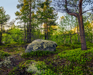 Similar image 8267728