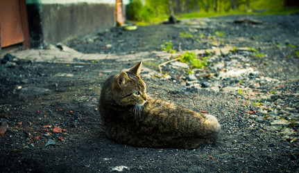 Similar image 8267731