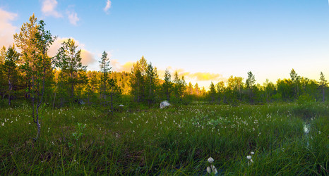 Similar image 8267732