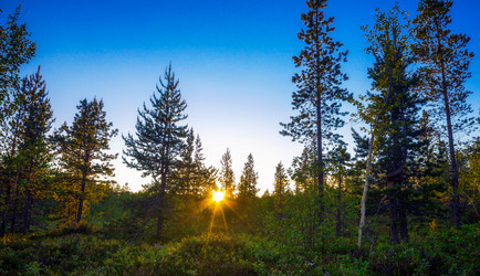 Similar image 8267733