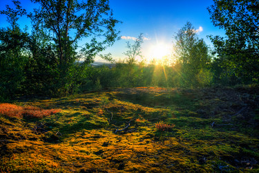 Similar image 8267735