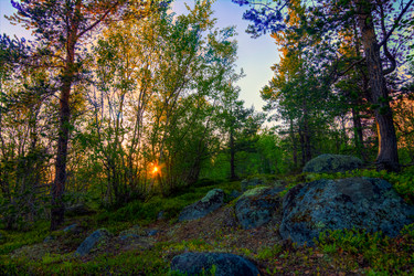 Similar image 8267738