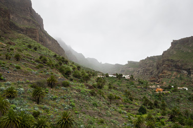 Similar image 8267743