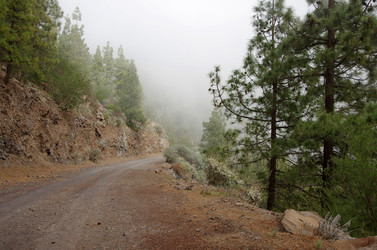 Similar image 8267761