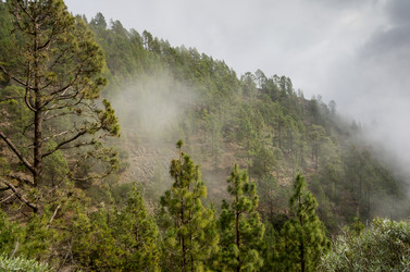 Similar image 8267762