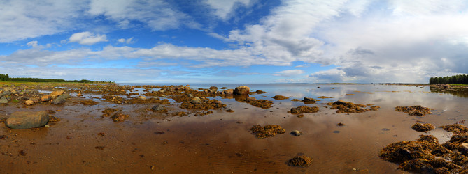 Similar image 8267824