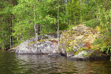 Similar image 8267831