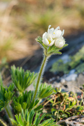 Similar image 8267895