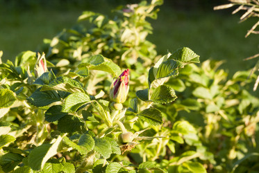 Similar image 8267956